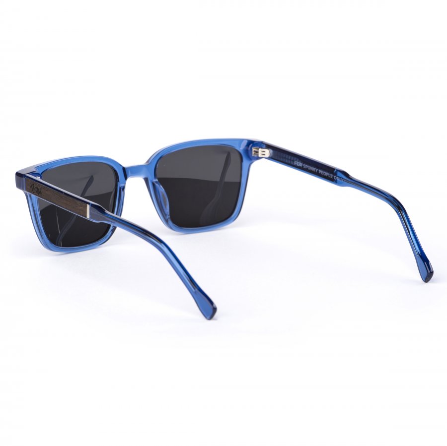 Pitcha DOSKY sunglasses transparent blue/ebony