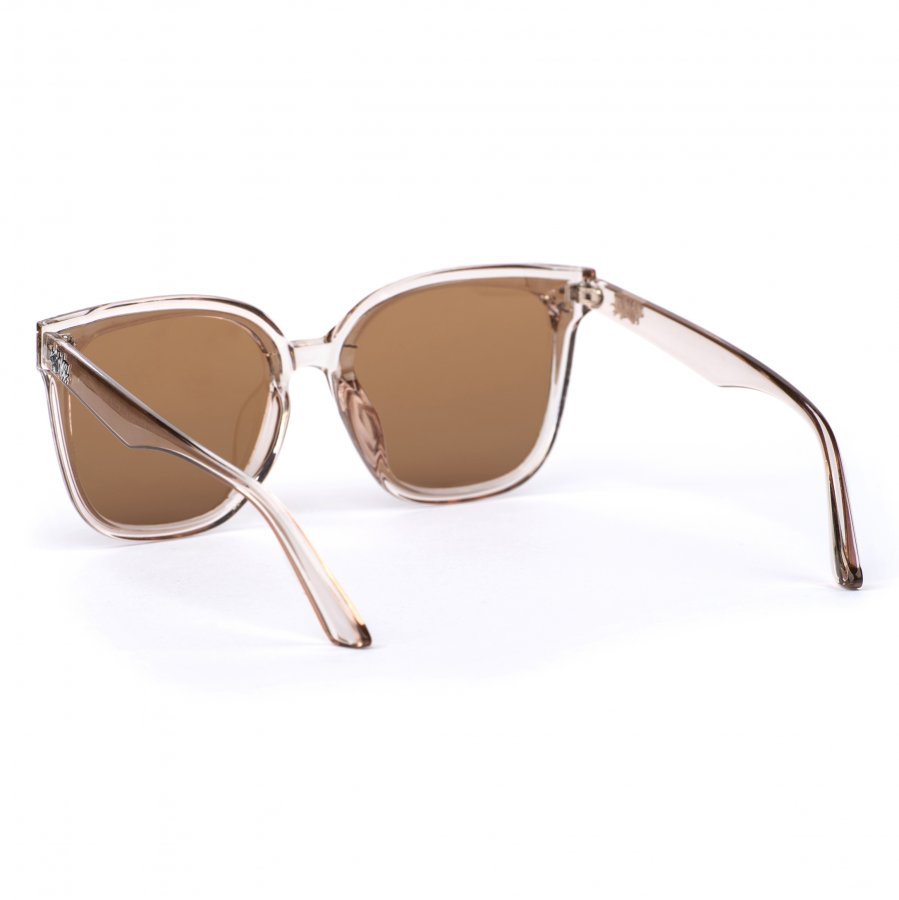 Pitcha NICCI sunglasses transparent coffe/brown