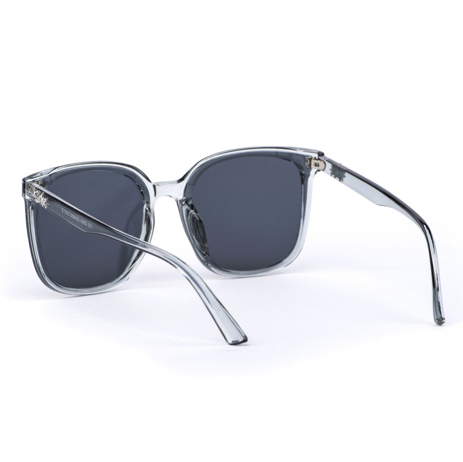 Pitcha NICCI sunglasses transparent grey/black