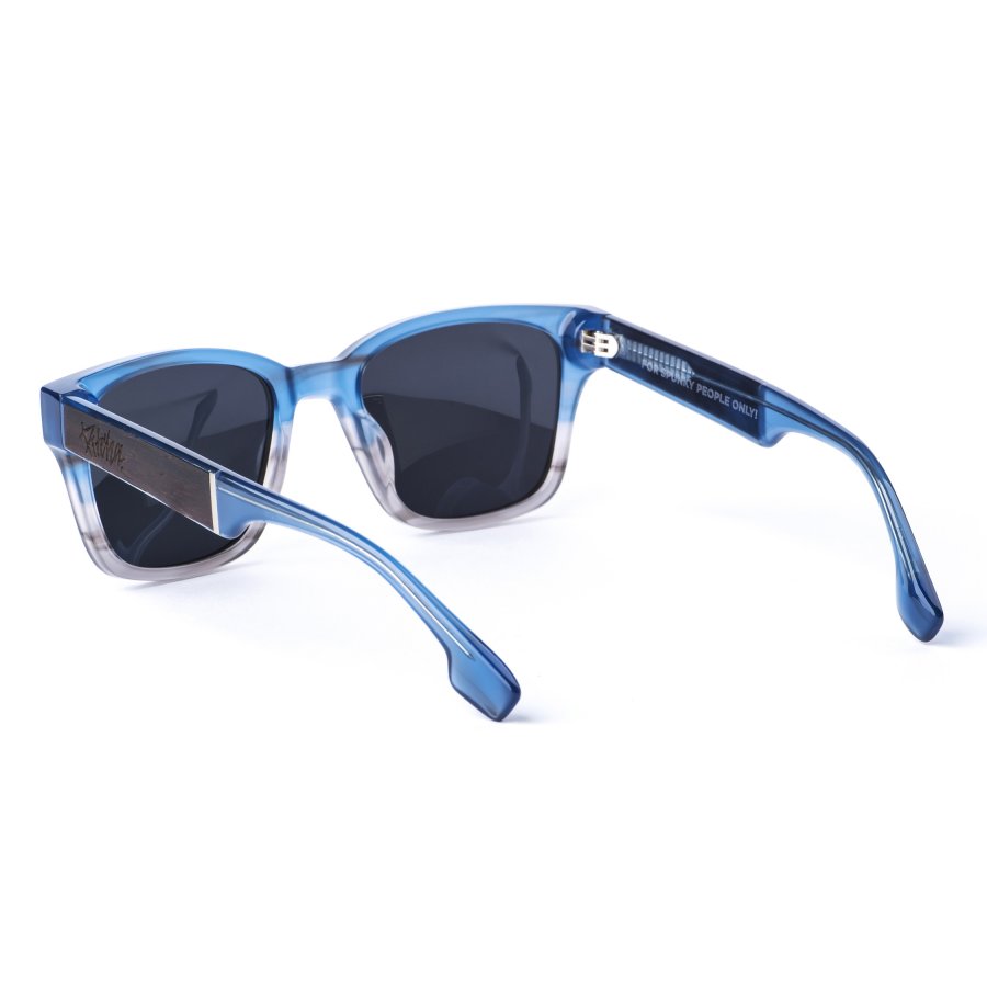 Pitcha CHABR sunglasses blue smog/ebony