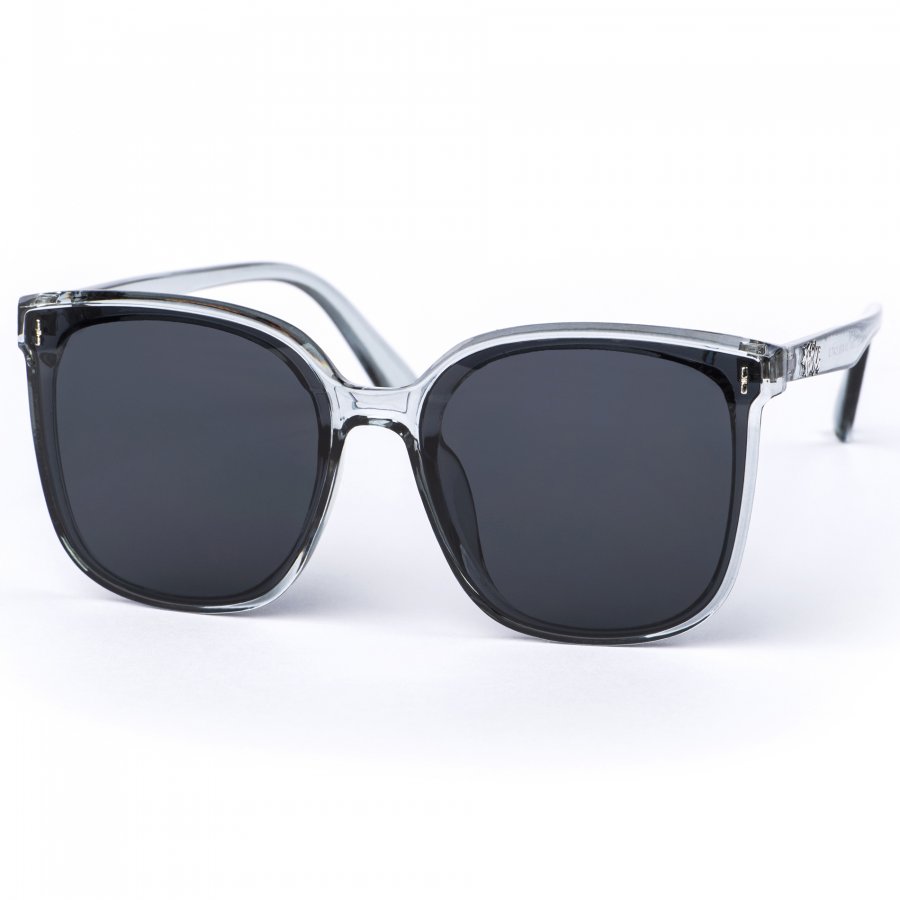 Pitcha NICCI sunglasses transparent grey/black